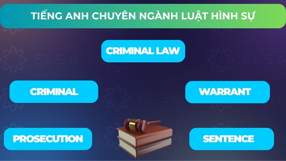 Một số từ vựng tiếng Anh chuyên ngành Luật hình sự