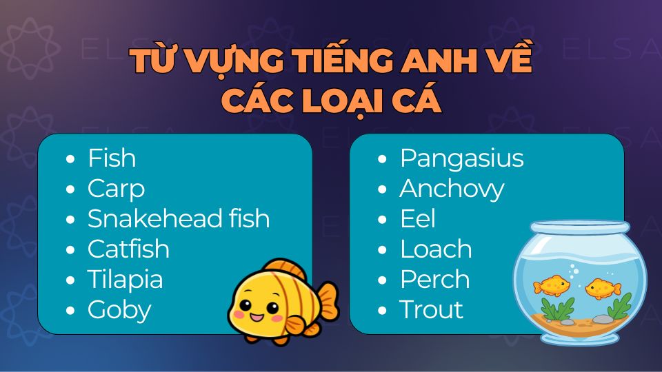 Các loại cá quen thuộc trong tiếng Anh như fish, carp, catfish, tilapia và snakehead fish