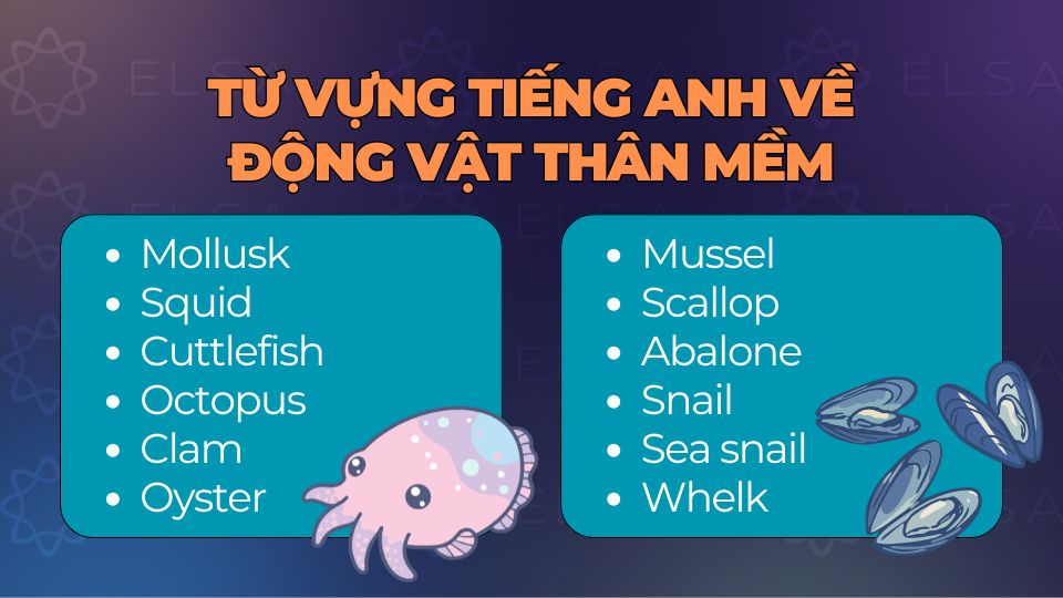 Nhóm động vật thân mềm trong tiếng Anh