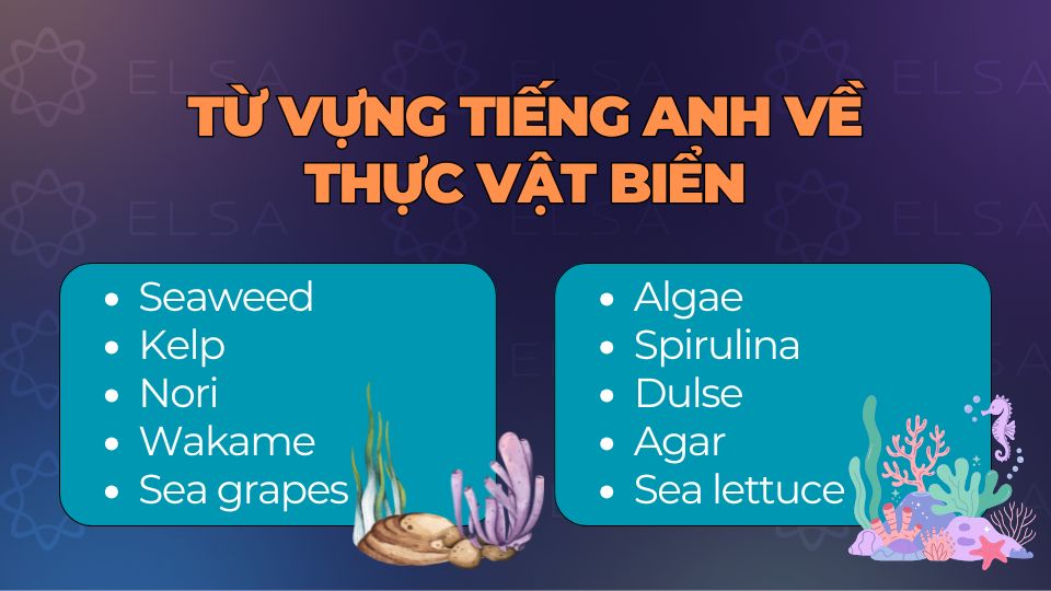 Các loại thực vật biển trong tiếng Anh