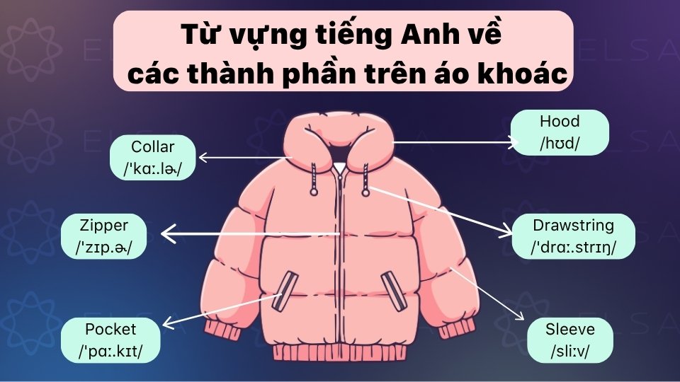 Từ vựng về các bộ phận của áo khoác Từ vựng về các bộ phận của áo khoác