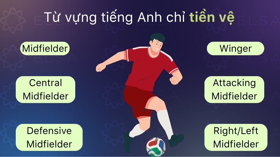 Từ vựng cầu thủ bóng đá tiếng Anh về tiền vệ