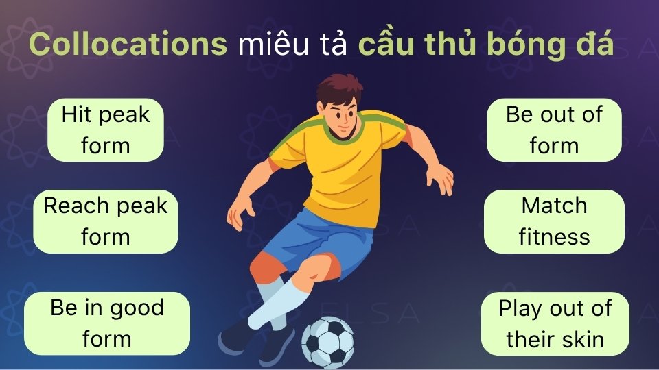 Một số collocations phổ biến dùng để miêu tả cầu thủ bóng đá