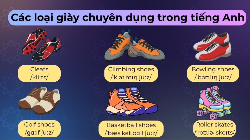 Giày chuyên dụng là loại được thiết kế riêng cho mục đích thể thao hoặc công việc đặc thù Giày chuyên dụng là loại được thiết kế riêng cho mục đích thể thao hoặc công việc đặc thù