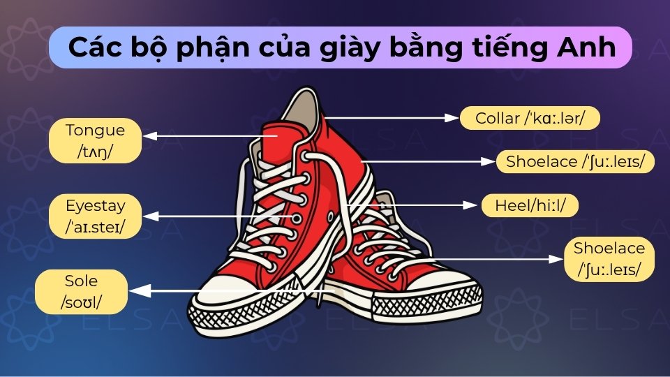 Các bộ phận của giày gồm thân giày (upper), đế giày (sole), gót giày (heel) và lót (insole) Các bộ phận của giày gồm thân giày (upper), đế giày (sole), gót giày (heel) và lót (insole)