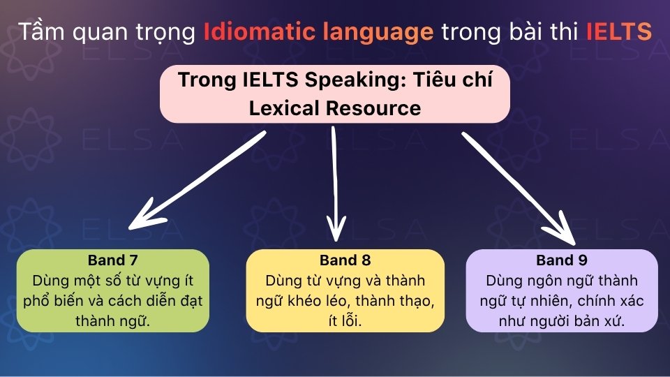 Đánh giá khả năng dùng từ vựng, từ ít phổ biến và idiomatic language chính xác Đánh giá khả năng dùng từ vựng, từ ít phổ biến và idiomatic language chính xác
