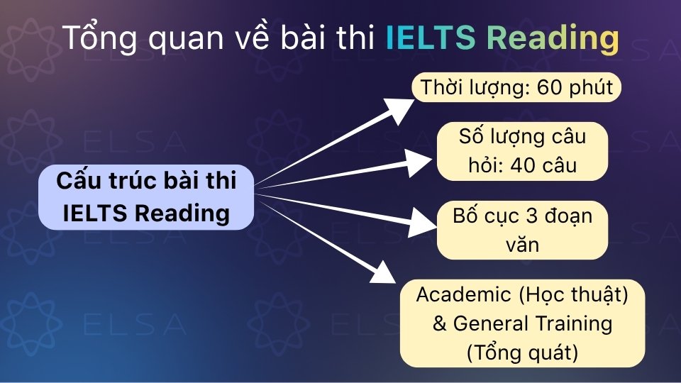 Cấu trúc bài thi IELTS Reading gồm 3 đoạn văn, 40 câu hỏi và diễn ra trong thời gian 60 phút