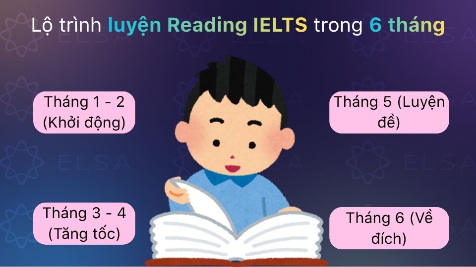 Lộ trình luyện Reading IELTS trong 6 tháng gồm 4 giai đoạn: từ nền tảng, kỹ năng giải đề, tốc độ đến luyện full test