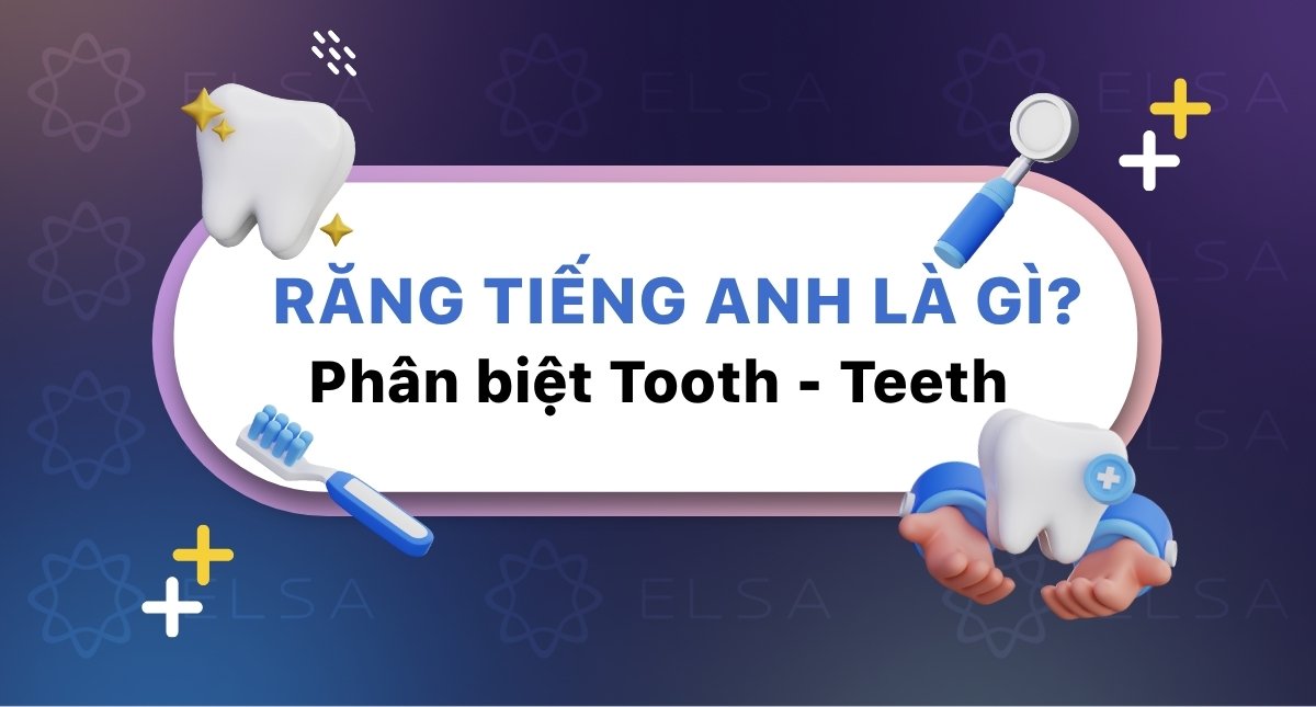 Răng tiếng Anh là gì? Phân biệt Tooth – Teeth và bộ từ vựng nha khoa