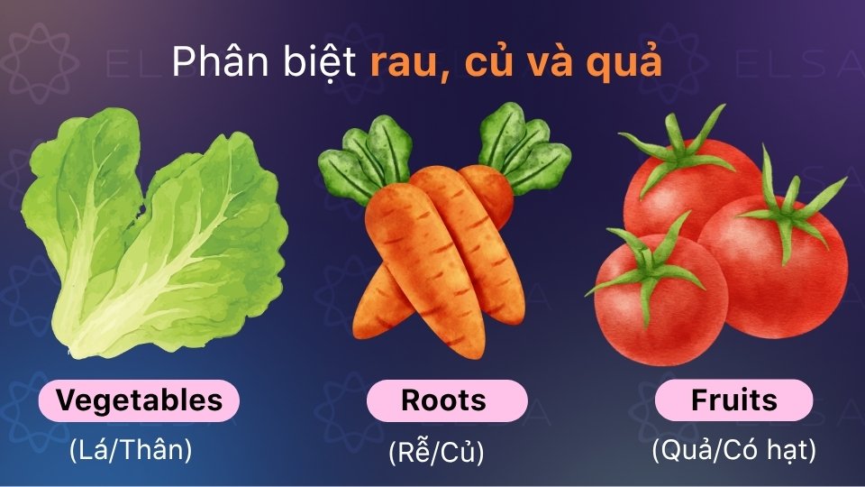 Sự khác nhau giữa rau, củ và quả trong tiếng Anh