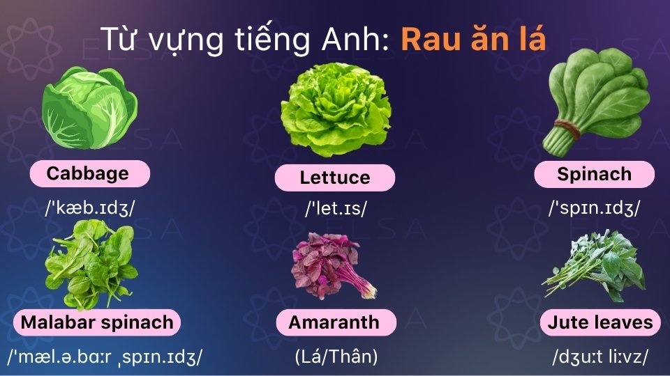 Từ vựng tiếng Anh về các loại rau ăn lá (Leafy Greens)