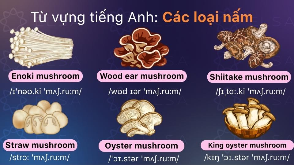 Từ vựng về các loại nấm bằng tiếng Anh
