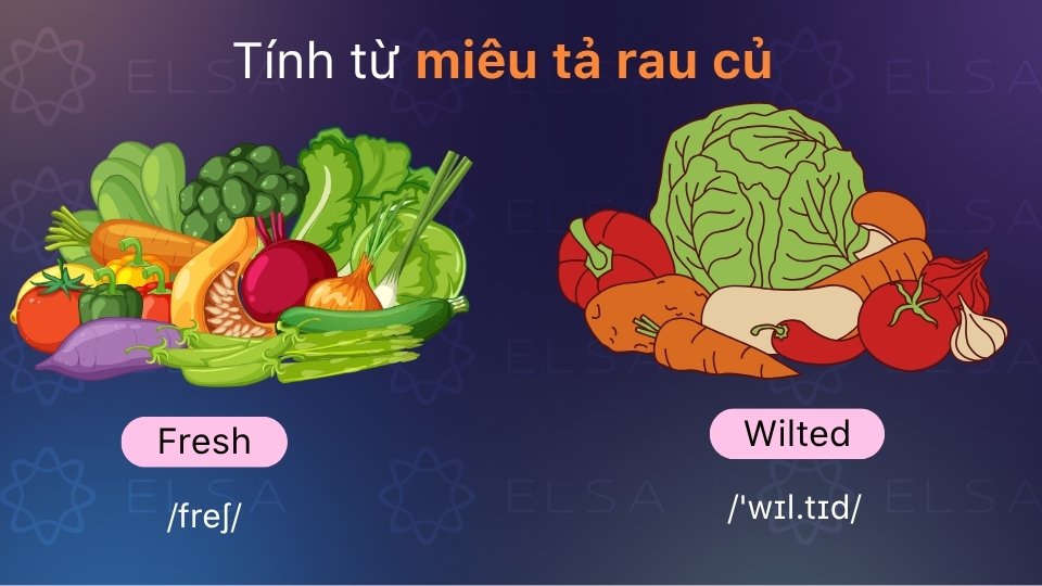 Tính từ chỉ tình trạng rau củ quả trong tiếng Anh