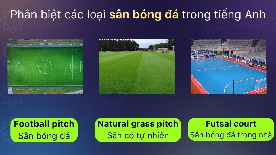 So sánh các loại sân bóng đá trong tiếng Anh
