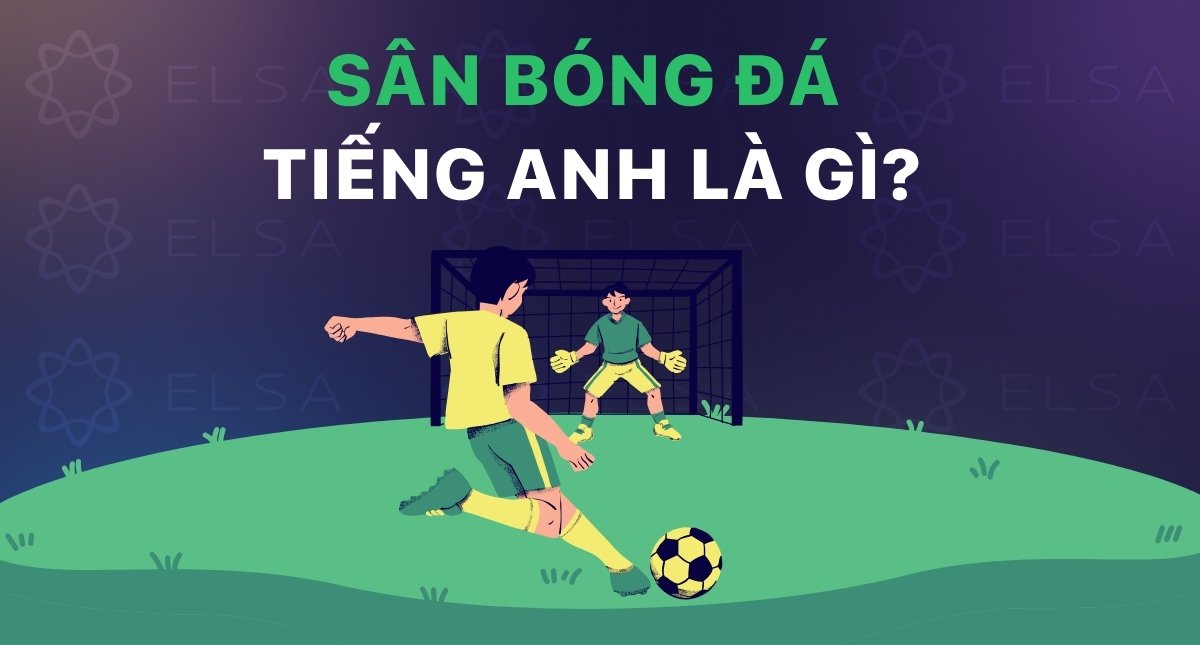 Sân bóng đá tiếng Anh là gì? Trọn bộ từ vựng & vị trí trên sân