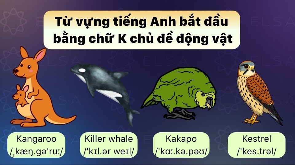 Từ vựng tiếng Anh bắt đầu bằng chữ K chủ đề động vật Từ vựng tiếng Anh bắt đầu bằng chữ K chủ đề động vật