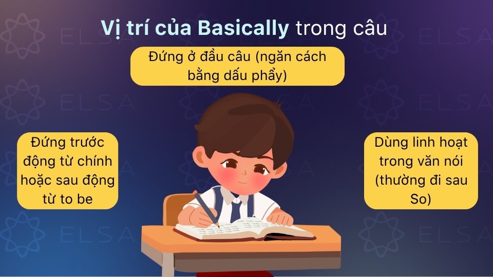 Basically thường đứng đầu câu, trước động từ chính hoặc sau to be